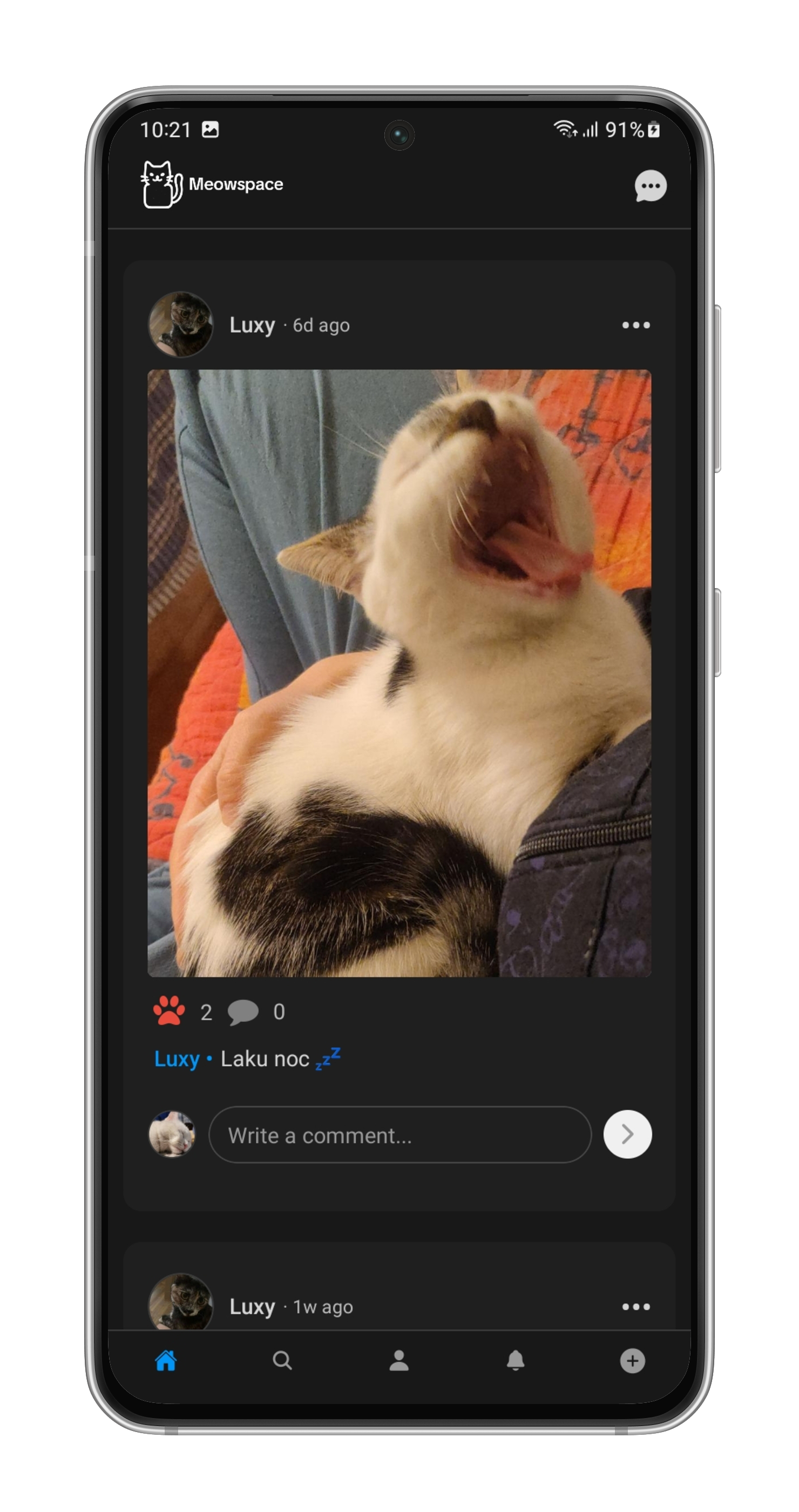 Meowspace Home Feed