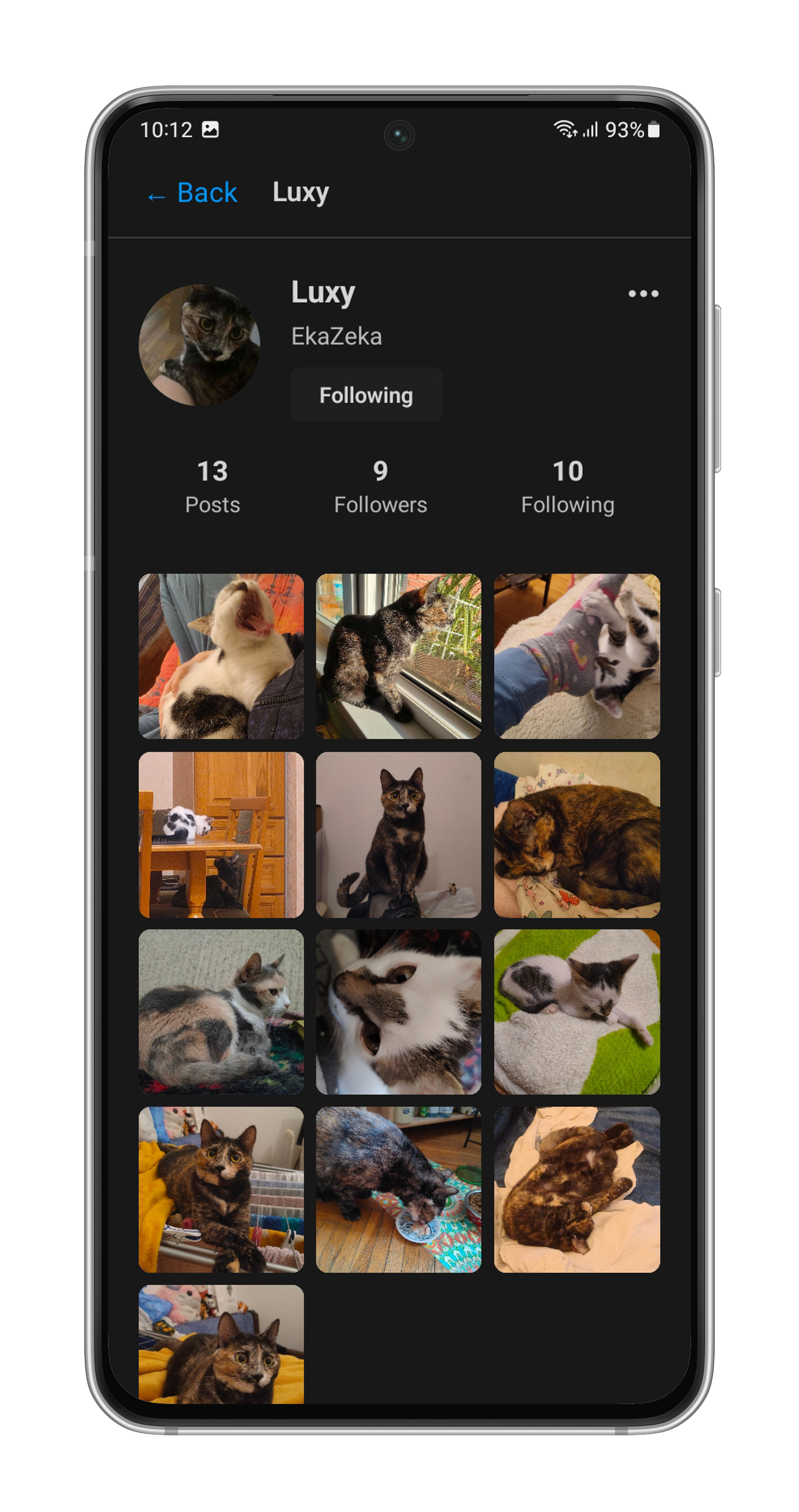 Meowspace Profile Screen